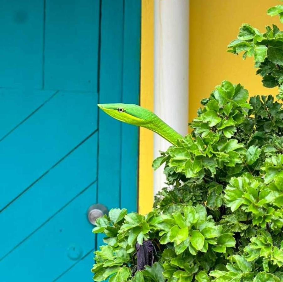 Casa Marbella Villa Tortuguero Exterior foto