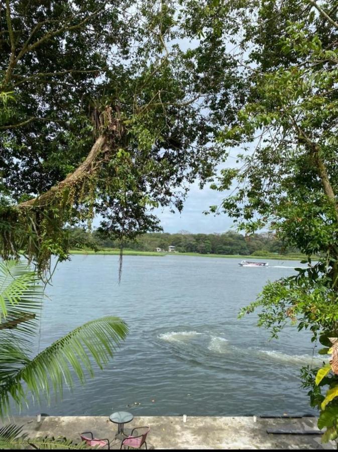 Casa Marbella Villa Tortuguero Exterior foto